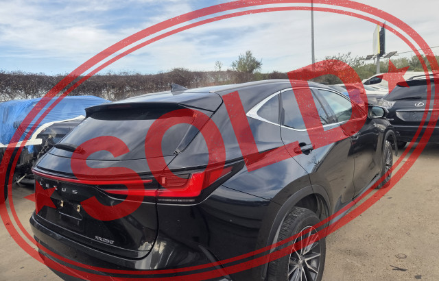 2024 lexus nx 250 46